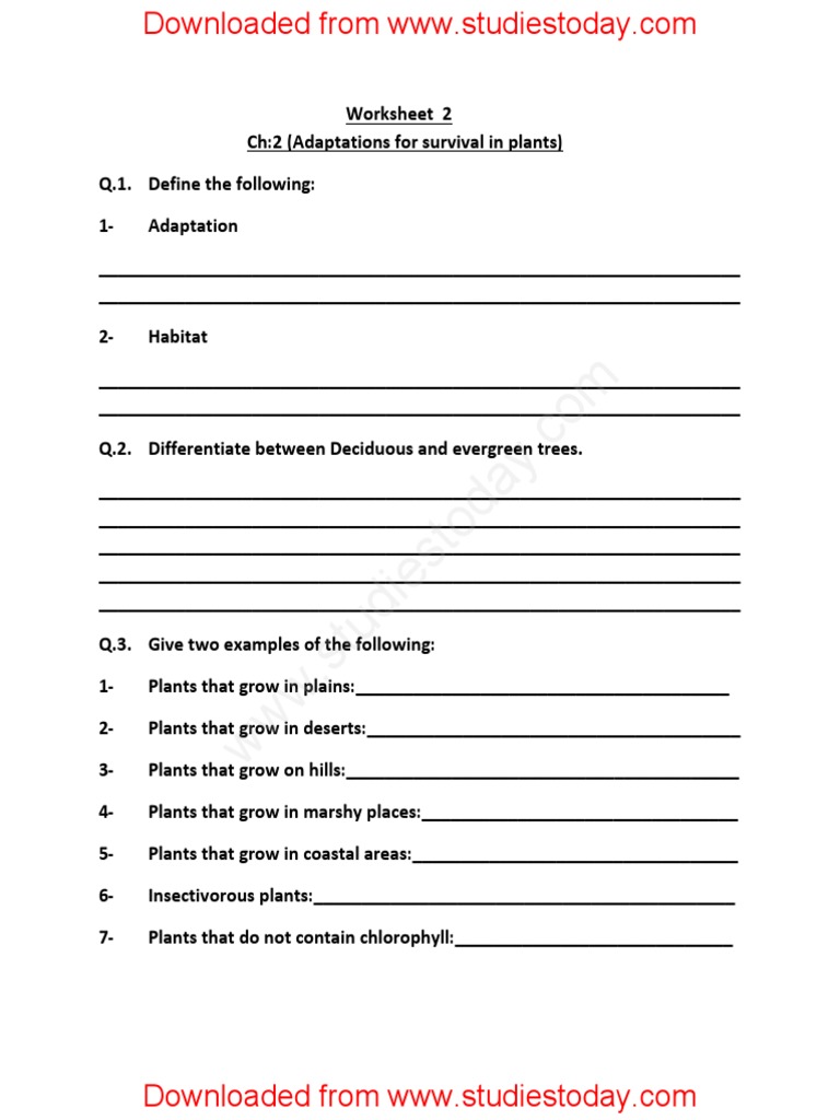 Plant Adaptations Worksheet for Class 4 | PDF | Plants | Land Management