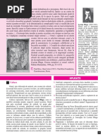 Engleza Avansati Plural Essays