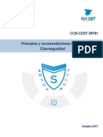 CCN-CERT_BP_01_Principios_y_recomendaciones_bÃ¡sicas_de_seguridad.pdf