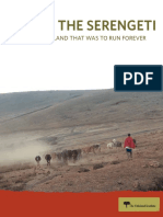 Losing The Serengeti
