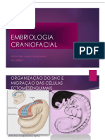 Embriologia Craniofacial