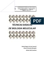 apostilacurso_molecular.pdf