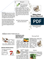 Leaflet Bahan Alami Hipertensi 2