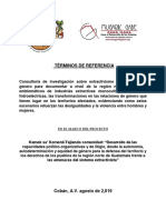 TdR INVESTIGACION Sobre Extractivismo y Relaciones de Genero[1]