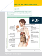 01 Adaptacion Curricular 03 PDF