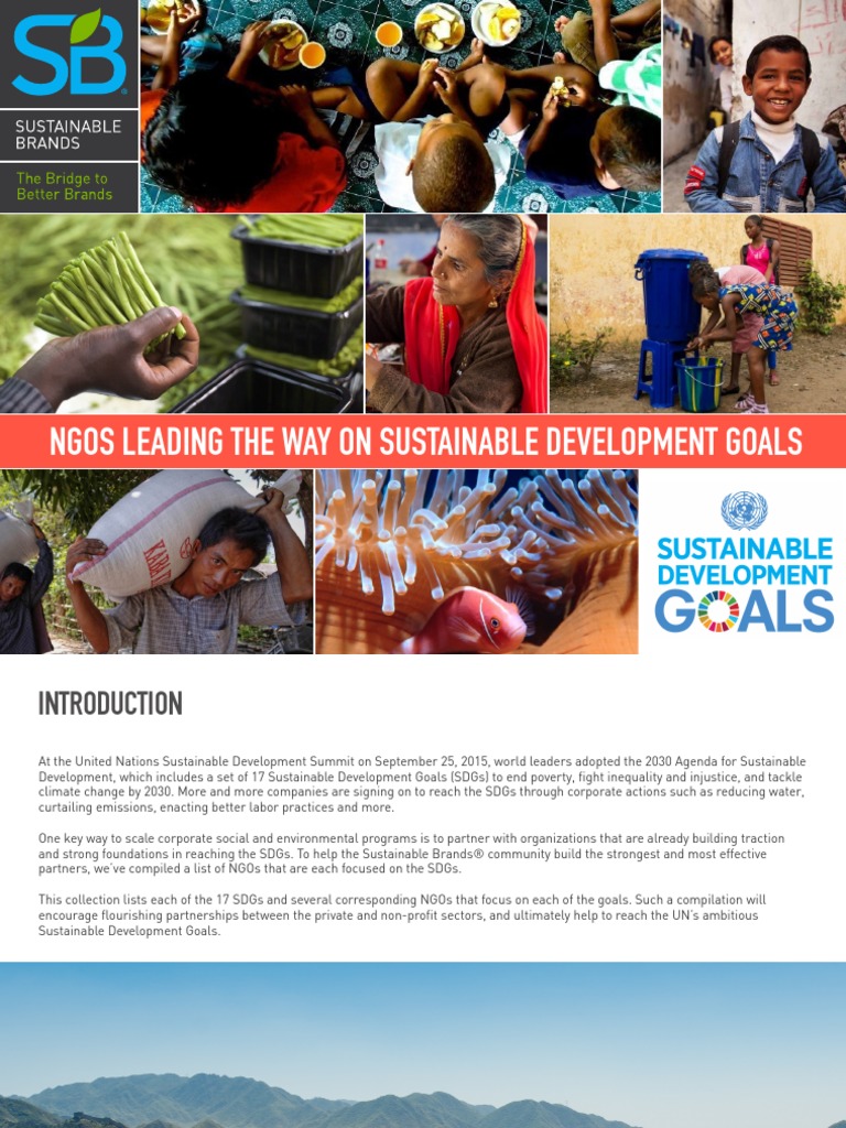 Ngos Leading The Way On Sustainable Development Goals Pdf