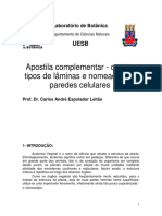 NomeacaoParedesCelVegetal.pdf