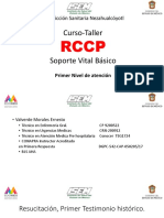 RCP Basico Valverde Morales Ernesto