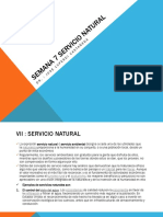 Servicio Natural 7