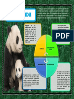 Infografia Del Panda
