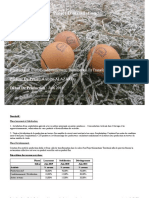 Projet poule pondeuse مشروع دجاج البياض