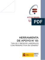 herramienta-de-apoyo-n-10-salud-y-riesgos-laborales-con-perspectiva-de-genero_r2.pdf