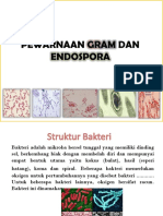 Pewarnaan Gram Dan Endospora