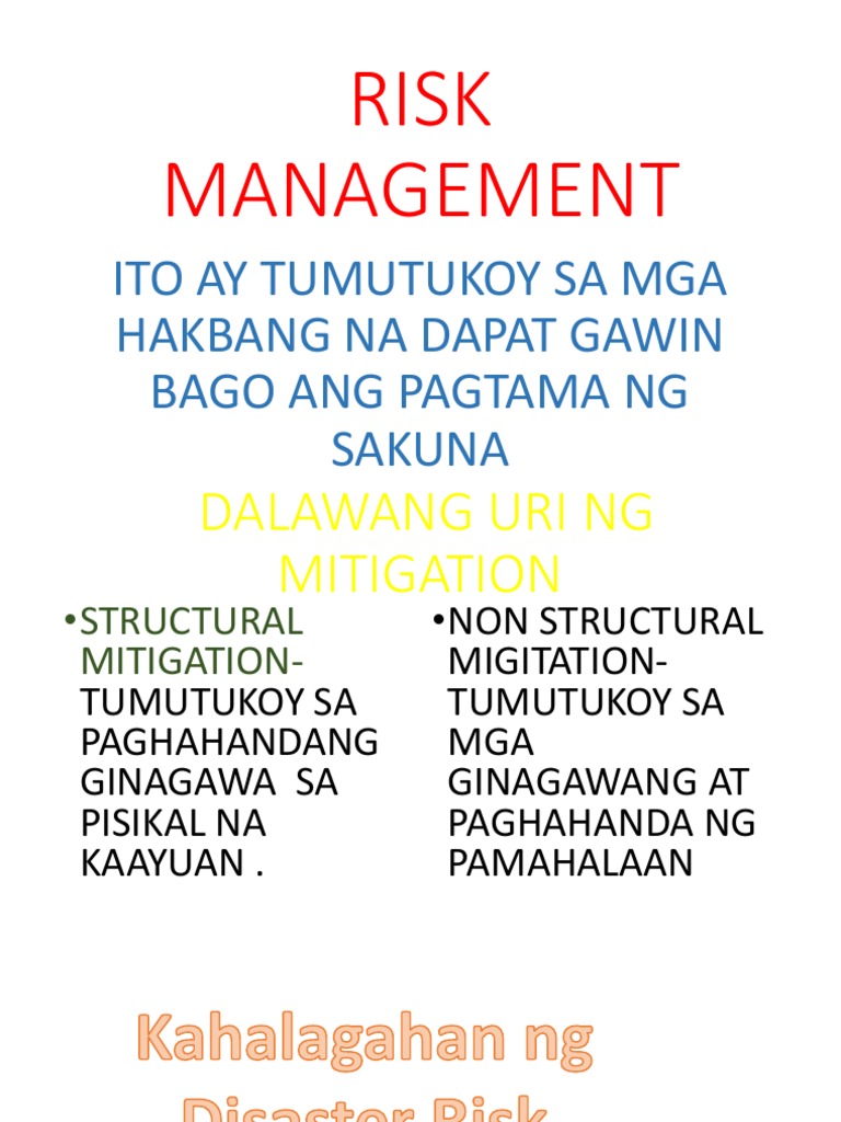 Risk Management | PDF