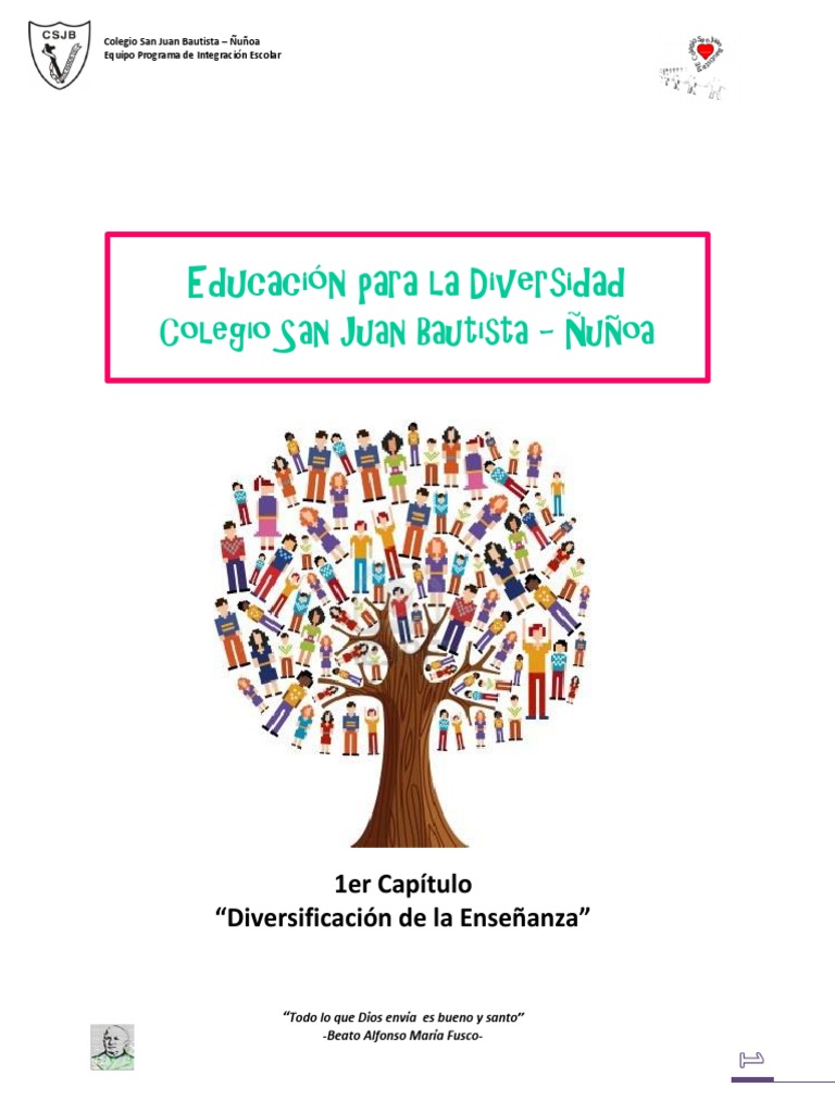 Educacion para La Diversidad | PDF | Aprendizaje | Plan de estudios