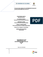 Asis Departamental Cauca2017 - F PDF