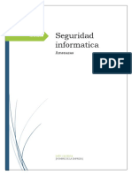 Seguridad Informatica