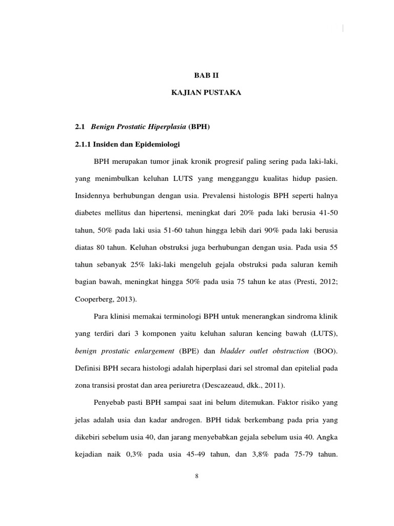 Luts Pdf