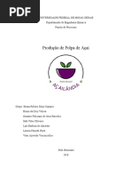 Projeto de Processos - Açailândia (produção de polpa de açaí)