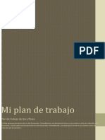 Mi Plan de Trabajo