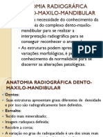 RADIOLOGIA