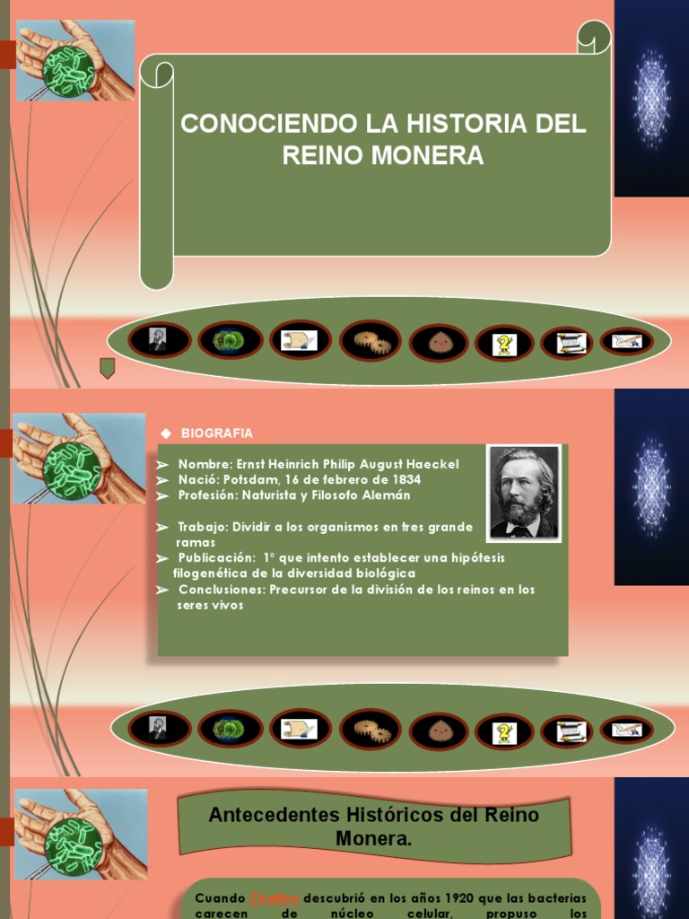 Reino Monera | PDF | Microorganismo | Ciencias de la vida