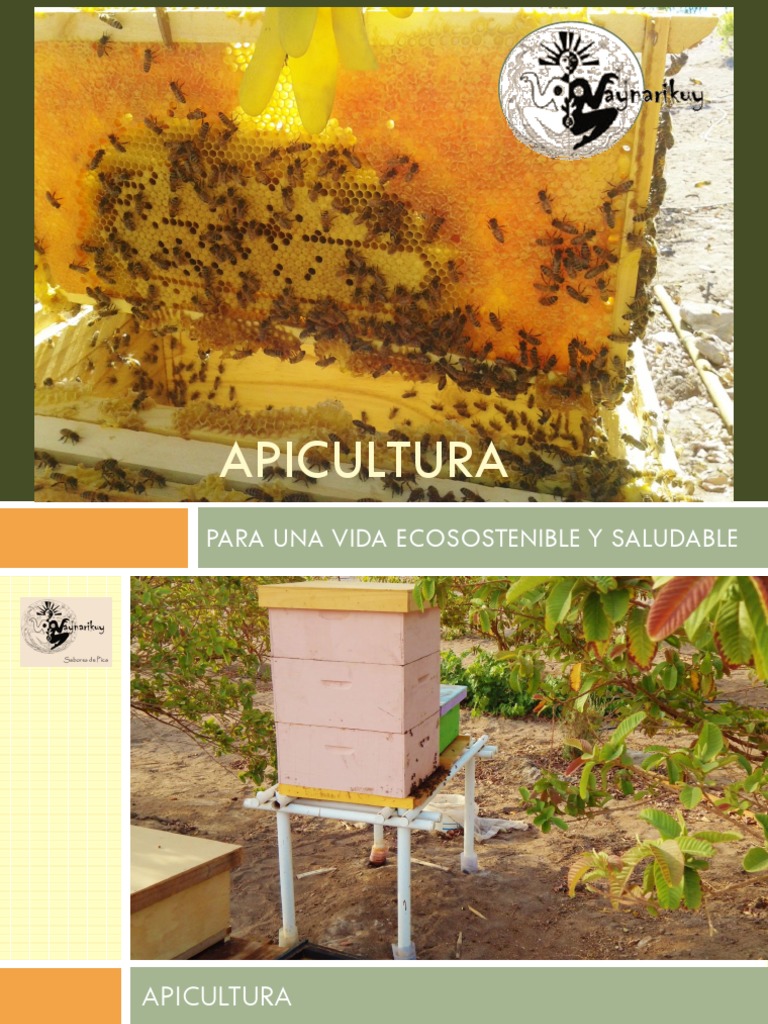 Proceso de la Miel en Apicultura | PDF | Apicultura | Miel