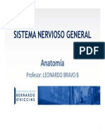 SN 2019 PDF