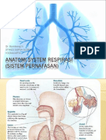 11.system Respiratoria