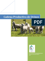 Cadena_Productiva_de_Ovinos.pdf