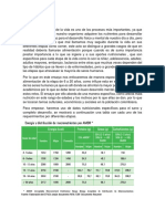 Ensayo Economia Alimentacion