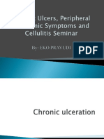 Chronic Ulcer