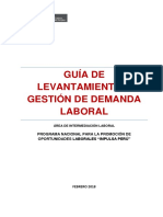 Guia de Levantamiento y Gestion de Demanda Laboral