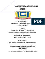 Temas de Ideas DESARROLLO ORGANIZACIONAL PDF