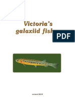 Galaxiid Fishes S