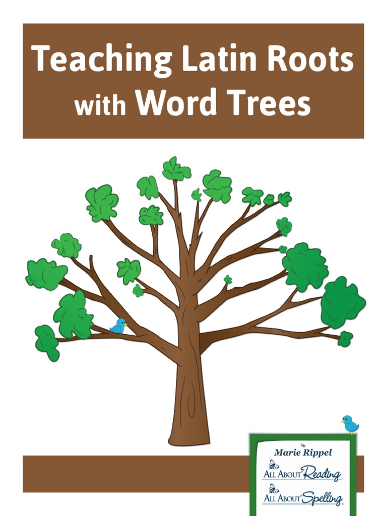 Teaching Latin Roots With Word Trees Semiotics Linguistic Typology