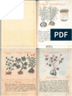 Libellus de Medicinalibus Indorum Herbis PDF