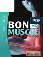 Bone and Muscle Structure, Force, And Motion