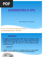 IVP Vzor | PDF