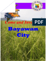 Bayawan Investment Profile - 2011