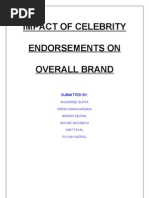 Celebrity Endorsement: Meaning Transfer Model | PDF | Self | Celebrity