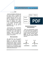 CARBOHIDRATOS.pdf