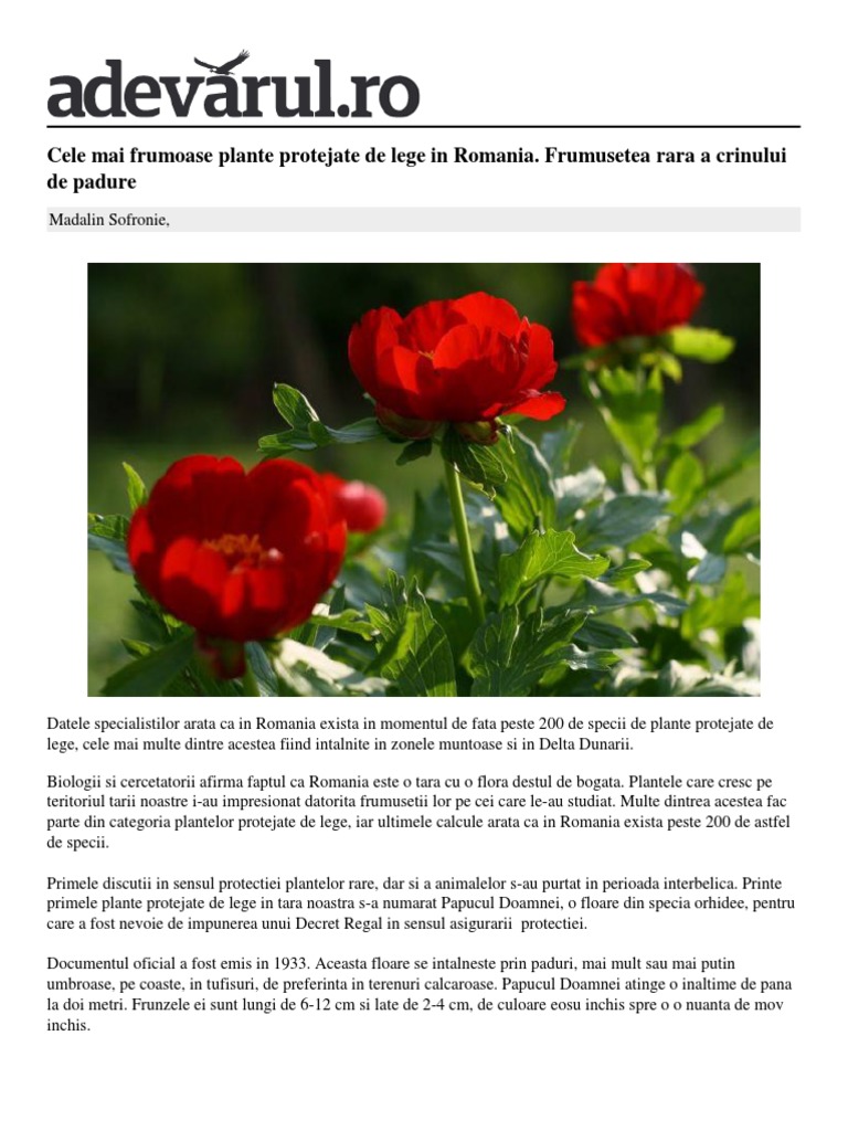 Locale Slobozia Cele Mai Frumoase Plante Protejate Lege Romania