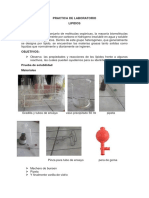 Practica de Laboratorio Lipidos