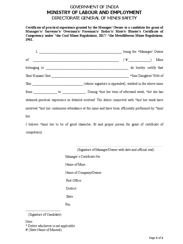 DGMS Experience Certificate Format | PDF | Heavy Industry | Mining