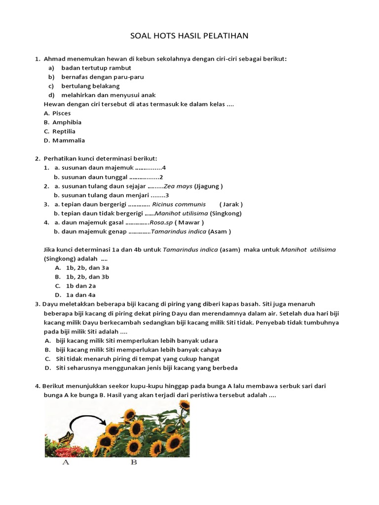 Soal Hots Ipa