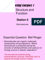 Reporting Category 1: Cell Structure and Function