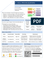 1.1 Cell Specialisation