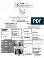 Scaphoid Pathway A3 Version 4