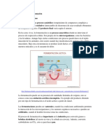 Proceso de fermentacion.pdf